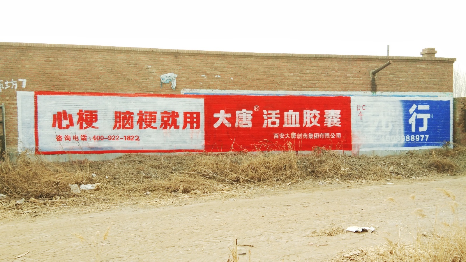 大唐活血膠囊